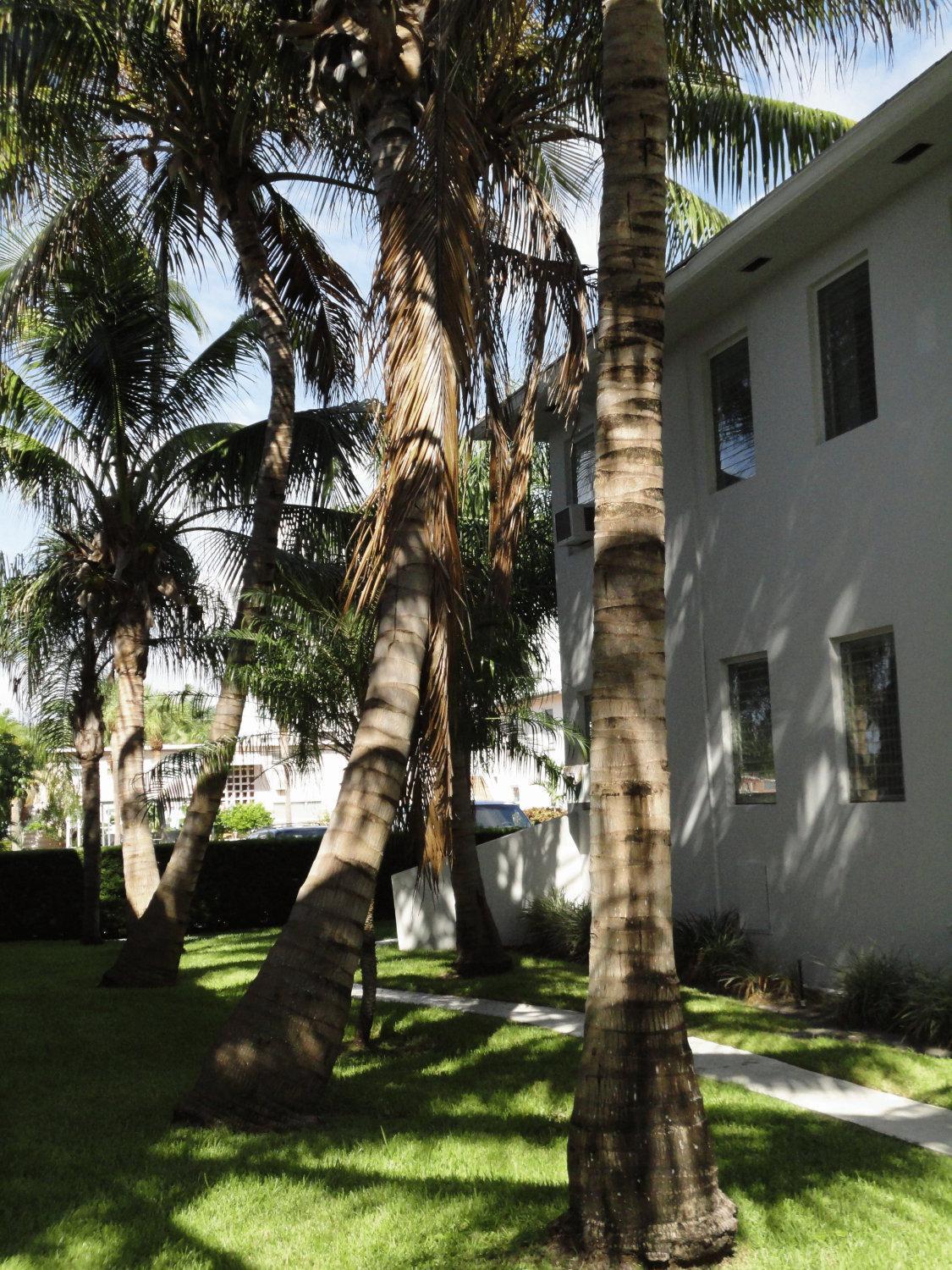 Summerland Suites Fort Lauderdale Dış mekan fotoğraf